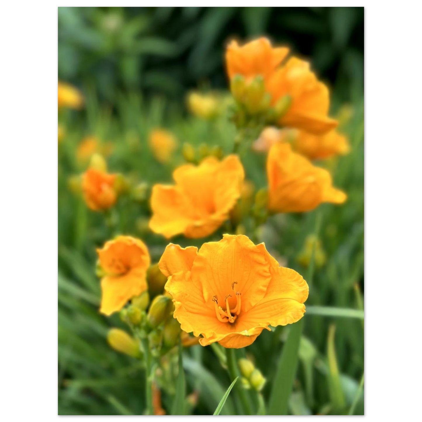 17111cae-4076-46f6-ab33-3db8f13134b6