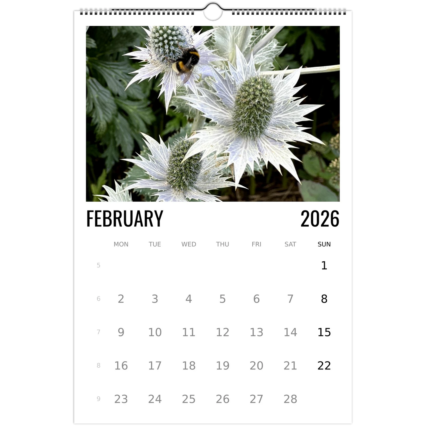 dd58c50d-601f-48d9-82b6-41d1ec4bde21