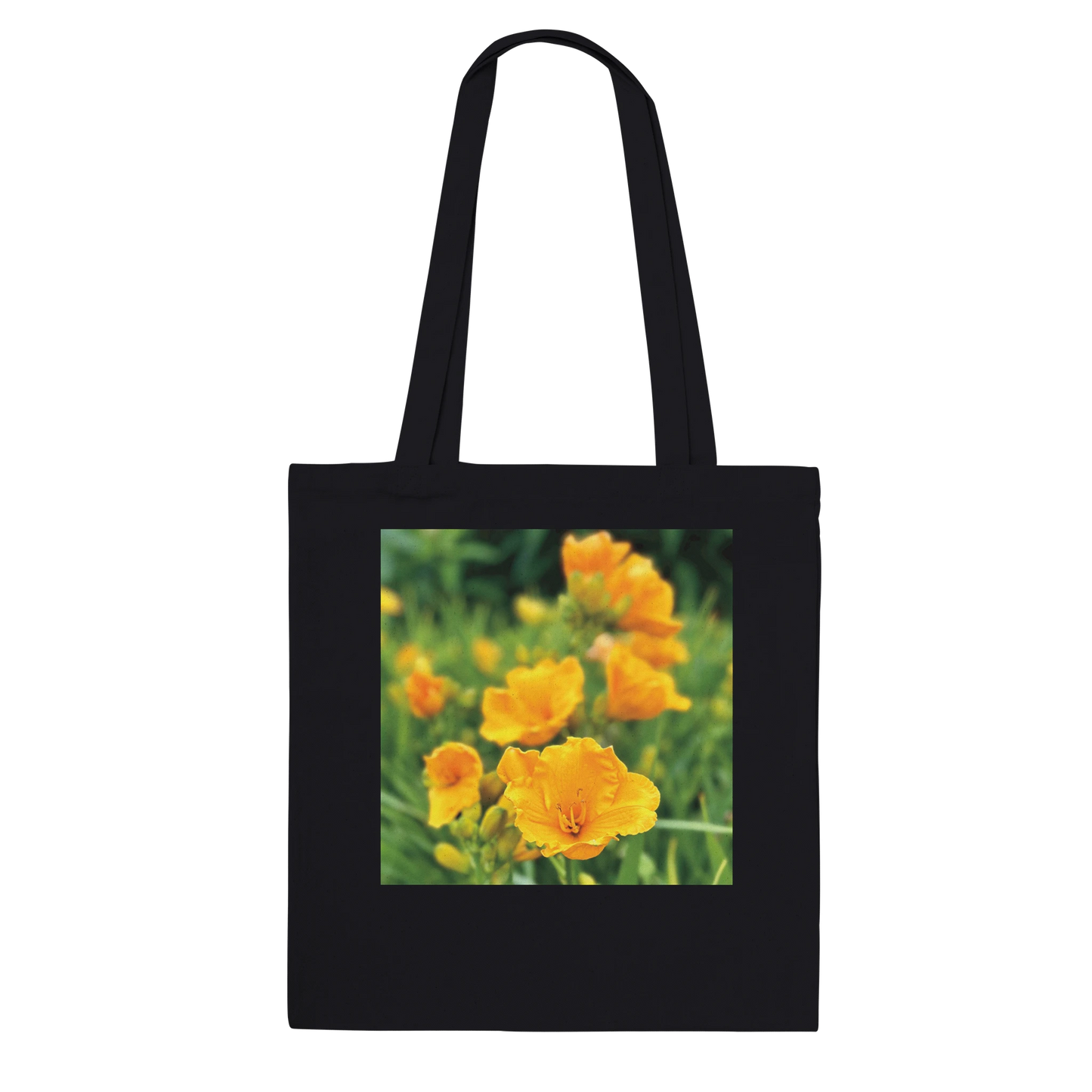 e85e59cb-45a4-44f9-a076-493c962ee3a8