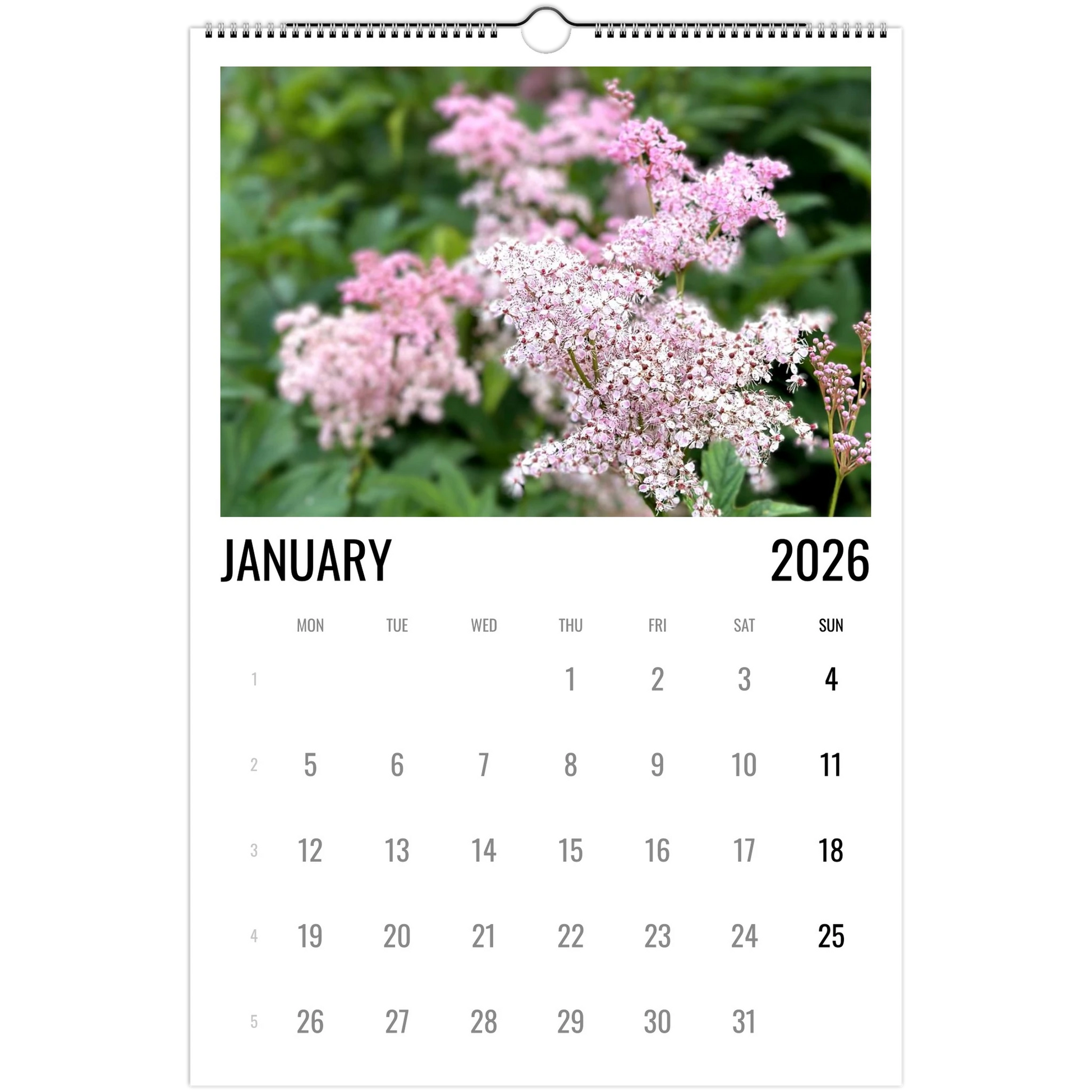 06708fdd-638b-40a2-87b0-8f9f20d63c3e