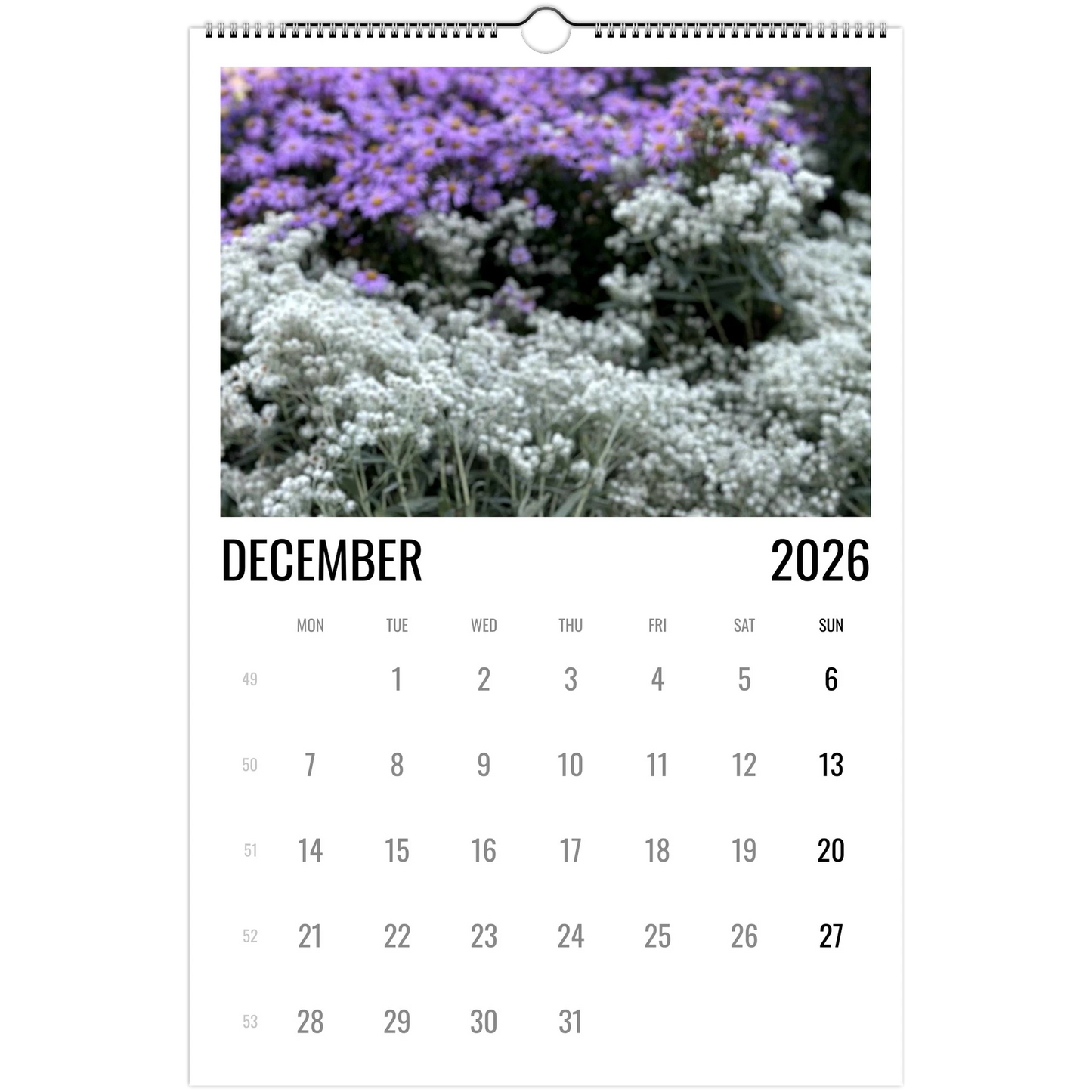 12acbcd9-5499-42f4-a831-e7e0735da70e