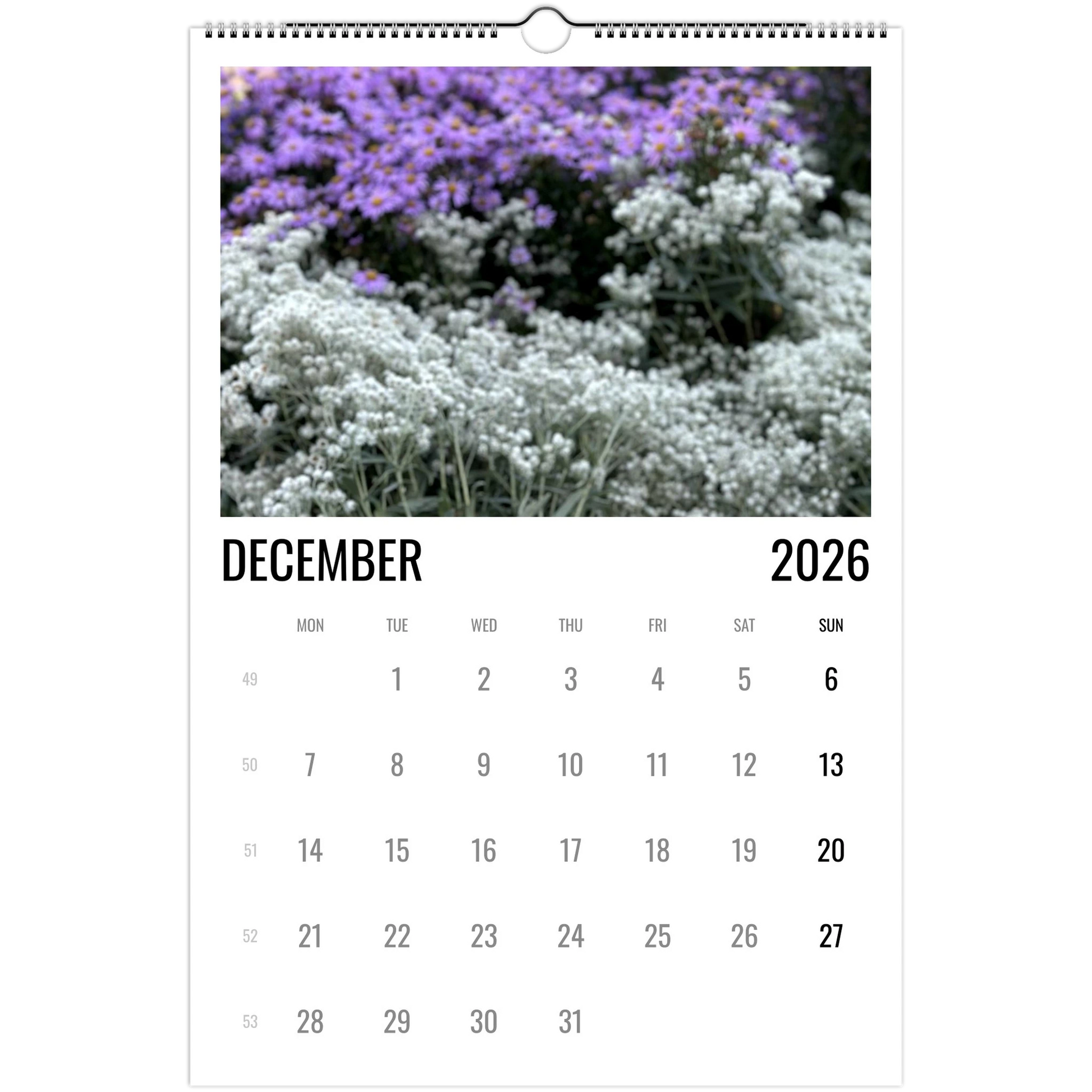 12acbcd9-5499-42f4-a831-e7e0735da70e