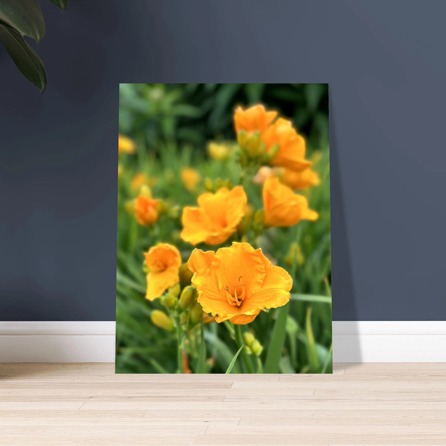 1a7b042a-10da-4022-bd28-2958f12dfc7a