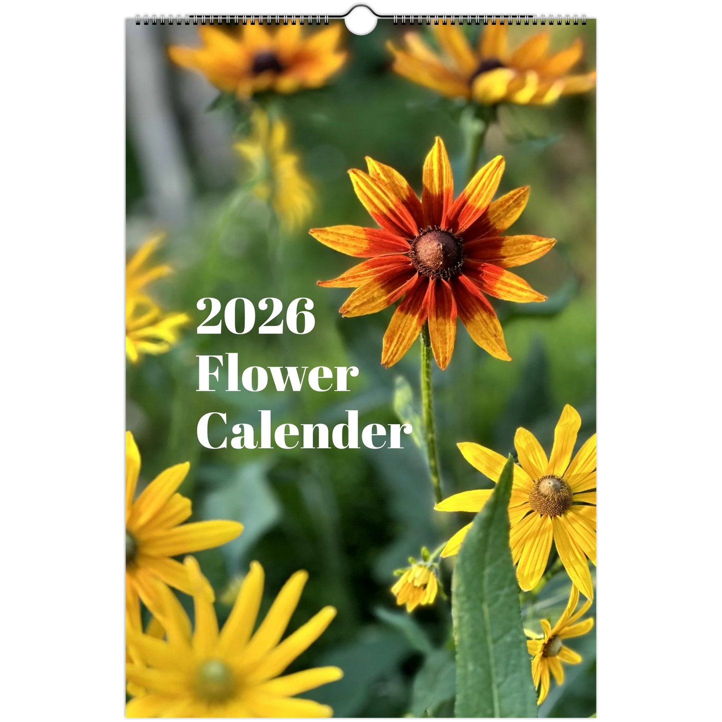 306117b1-8593-45c9-9905-2cd36a28fb2e