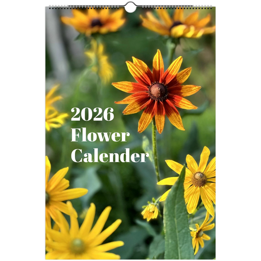 306117b1-8593-45c9-9905-2cd36a28fb2e