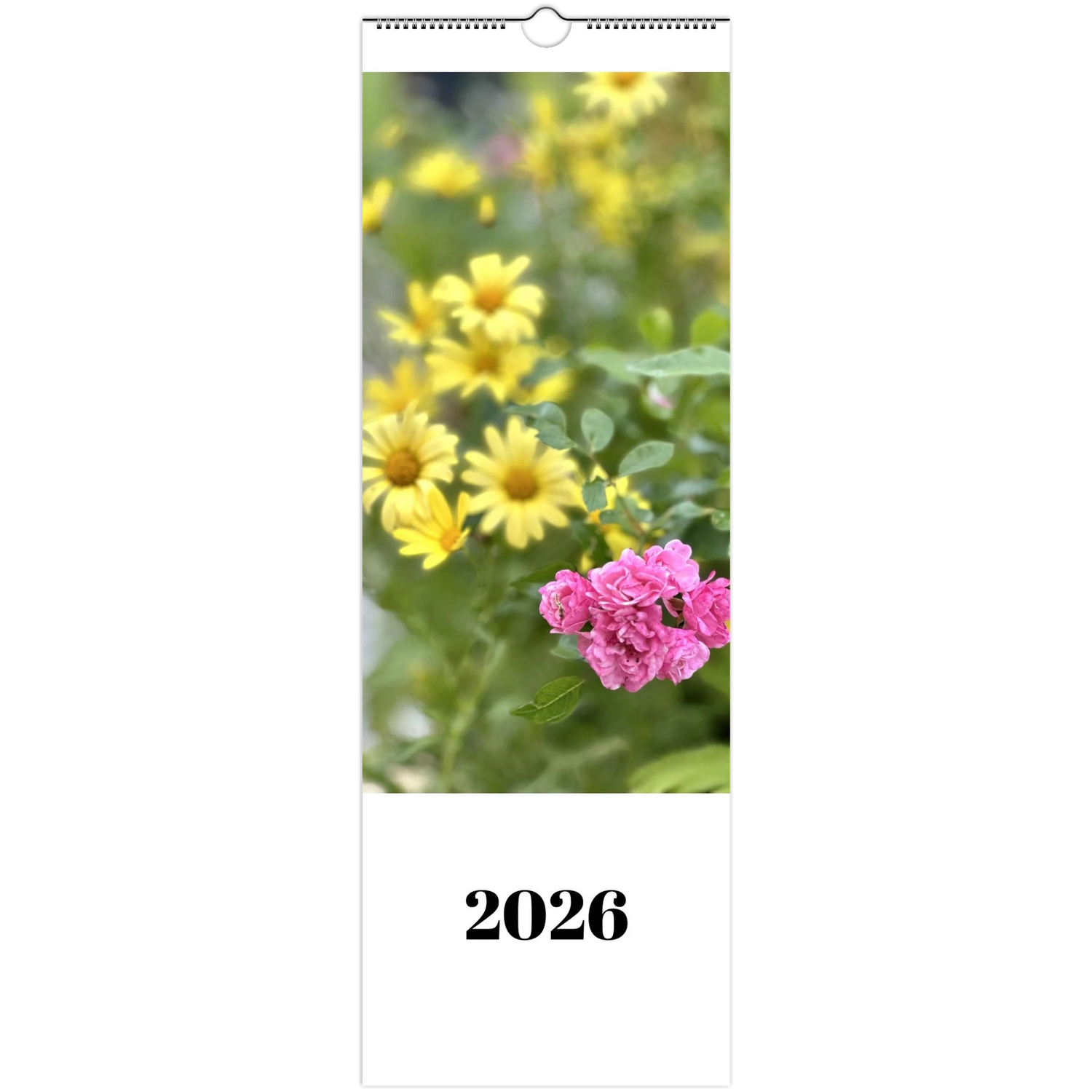 31547f95-425d-416a-b3f0-a92ef7a5a82a