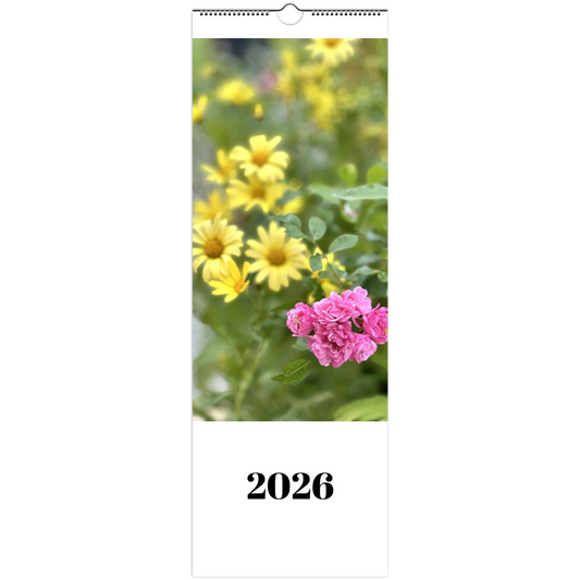 31547f95-425d-416a-b3f0-a92ef7a5a82a