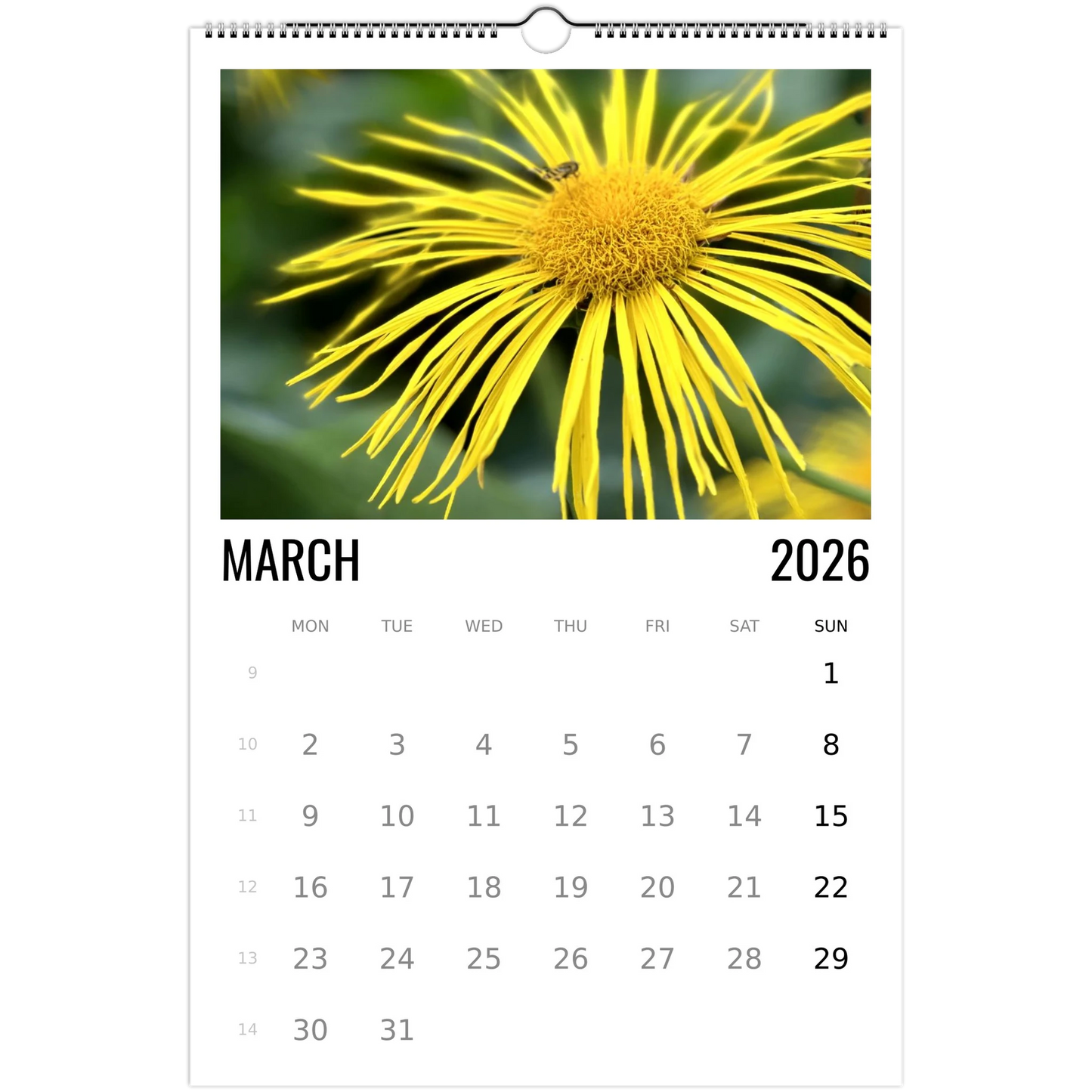 4252a0cd-b4b2-4e14-863c-36405df176db