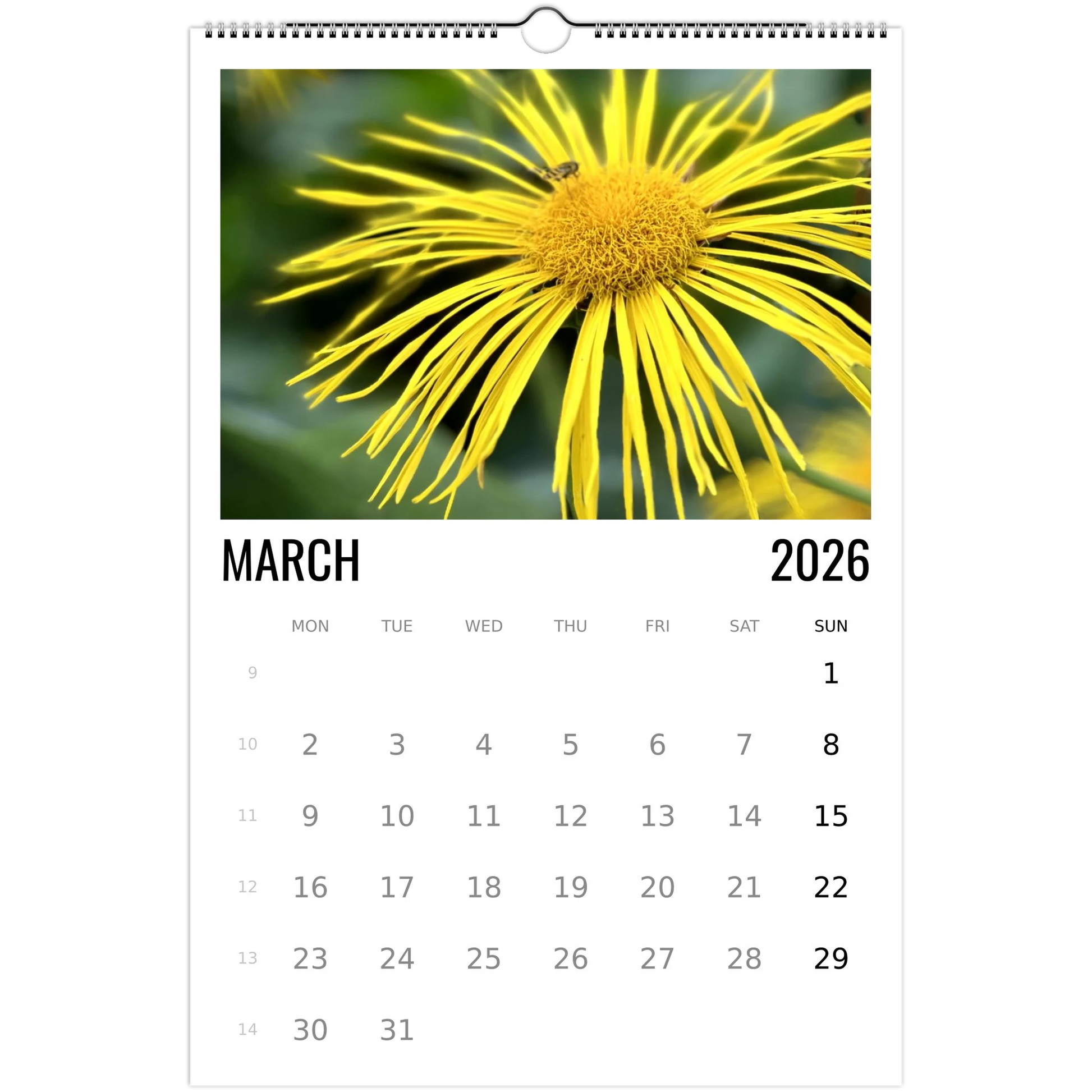 4252a0cd-b4b2-4e14-863c-36405df176db