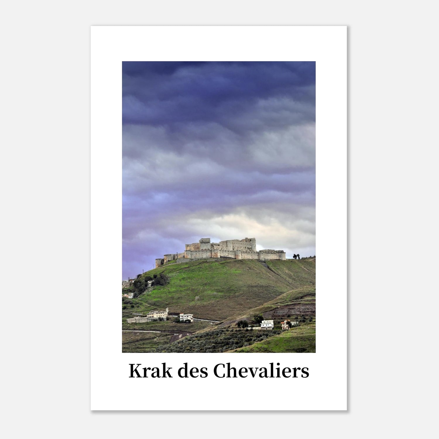 431da7f6-ebca-46e8-a745-70c8cffb82e3