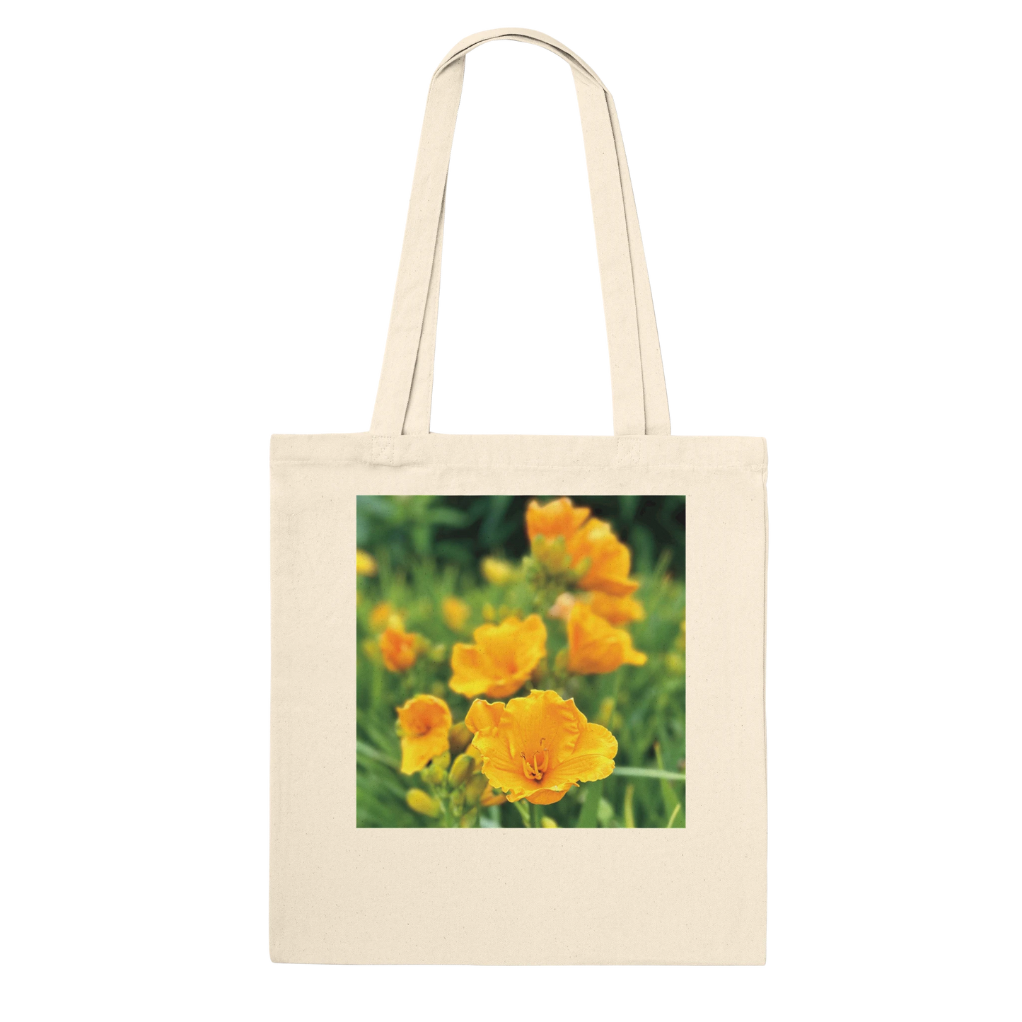 73b25391-15ea-49bb-8fd9-afec2392d082