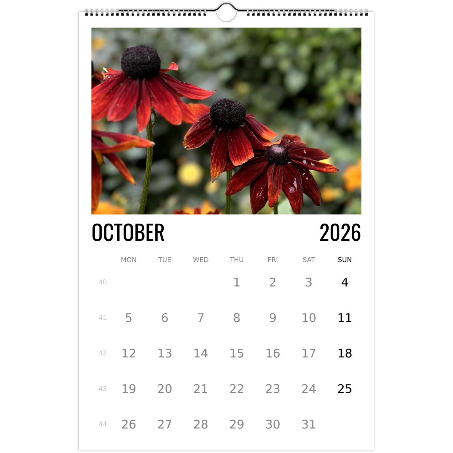 7d7d595b-e653-46a8-8b60-2832d0db1a04