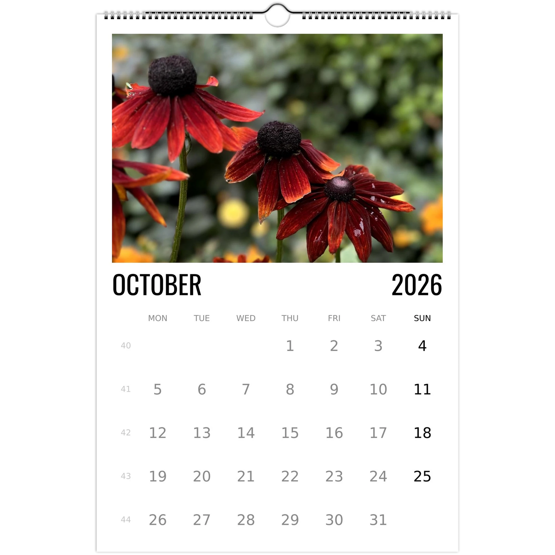 7d7d595b-e653-46a8-8b60-2832d0db1a04