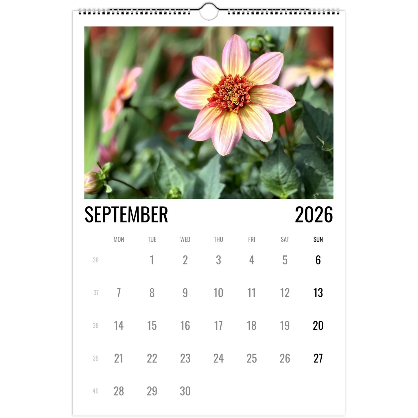 8cdbb03e-1119-43d0-a088-f62318a978ca