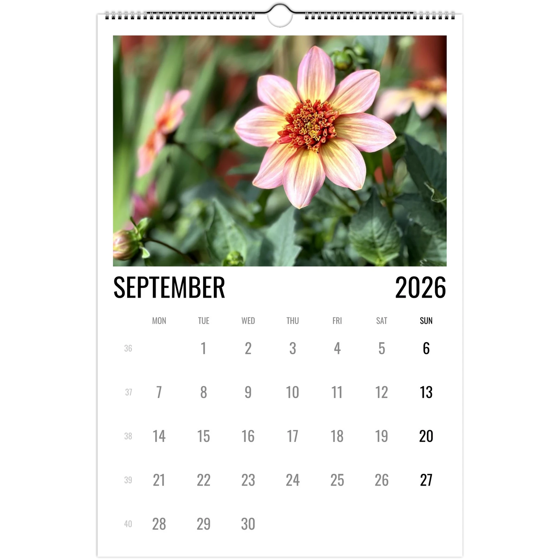 8cdbb03e-1119-43d0-a088-f62318a978ca