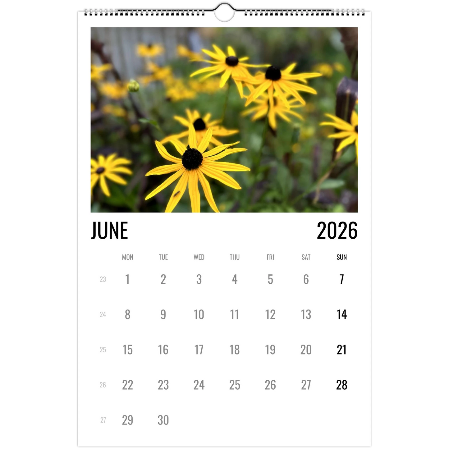 b5cd569c-4b05-4190-ab91-be38dced5e2f