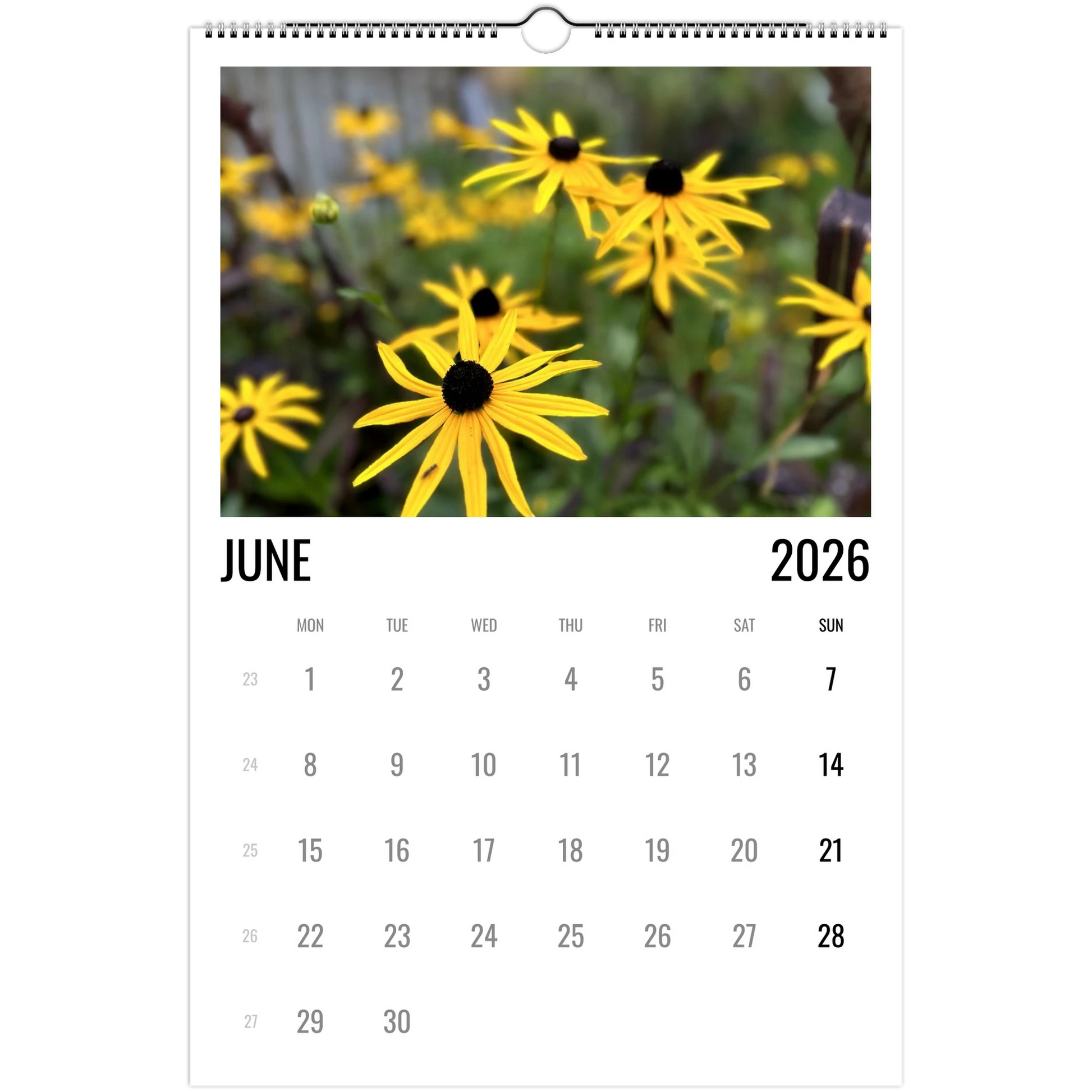 b5cd569c-4b05-4190-ab91-be38dced5e2f