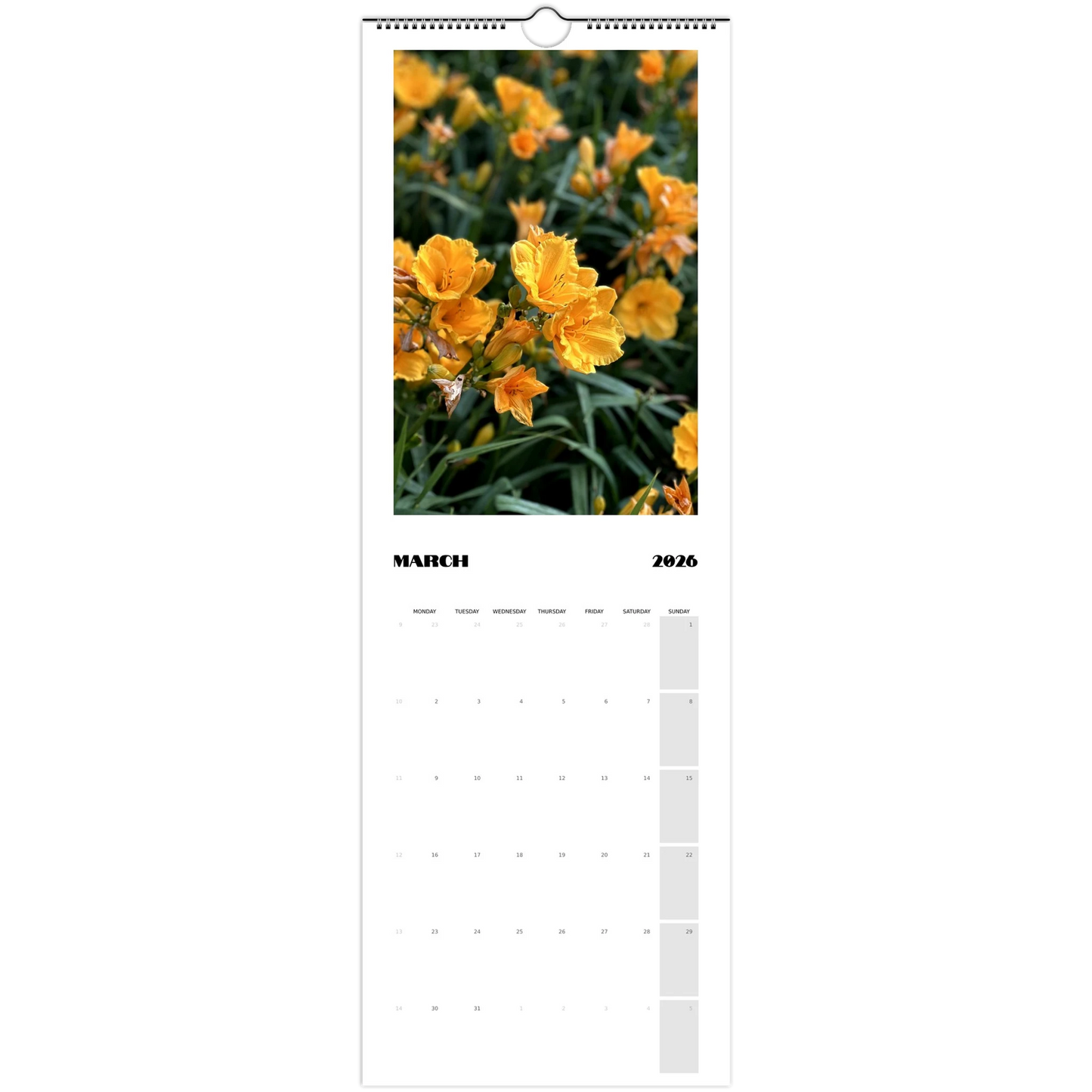 bfb5dcf1-9141-4e4f-b9b6-e38915325e04