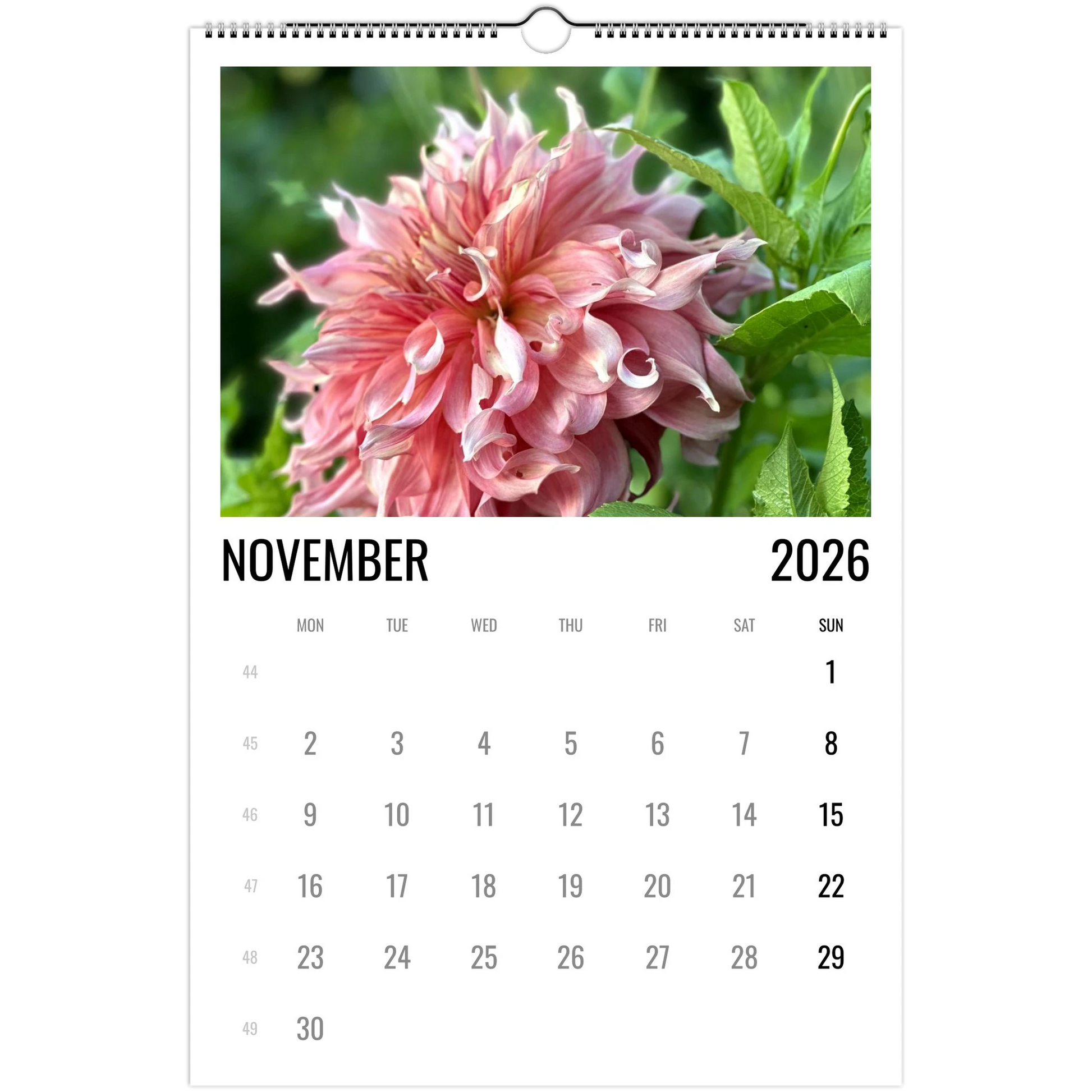 cfb8750a-dfbb-4482-a389-46ae7aed067f