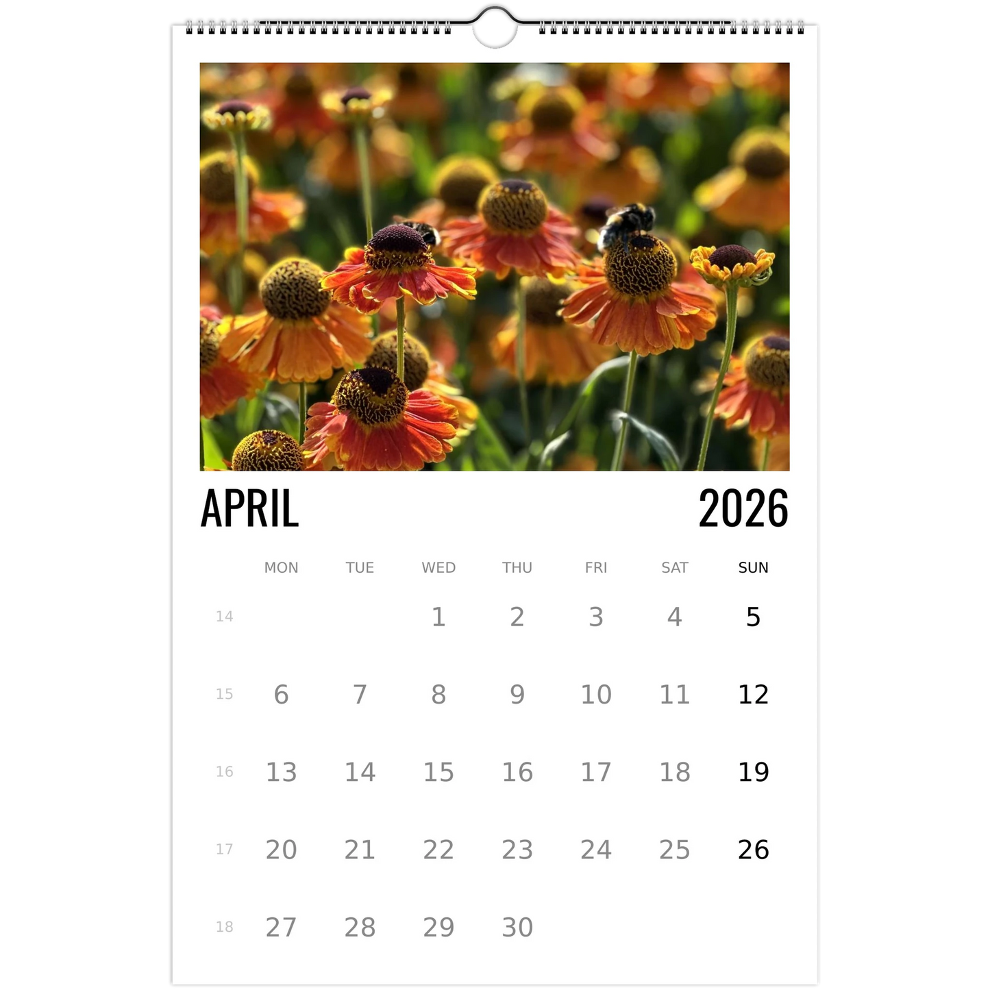 d54f2671-0db2-4a89-acd2-5ef902b5bfe0