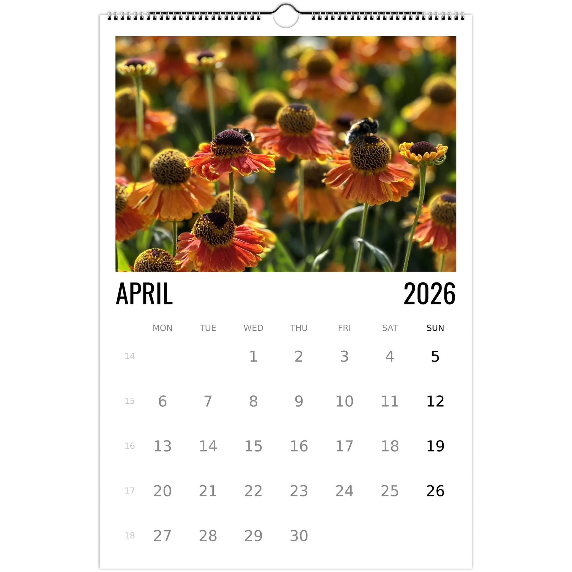 d54f2671-0db2-4a89-acd2-5ef902b5bfe0